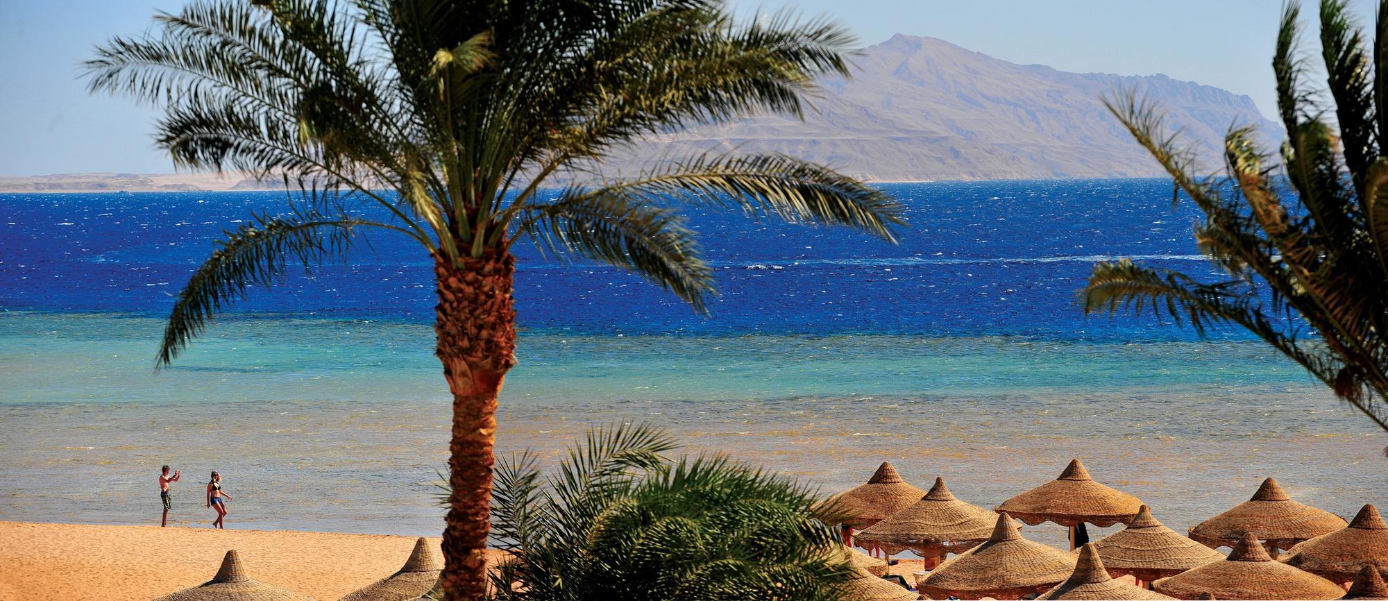 Resort Baron Palms Adults Friendly Only 16 Years Boutique Style